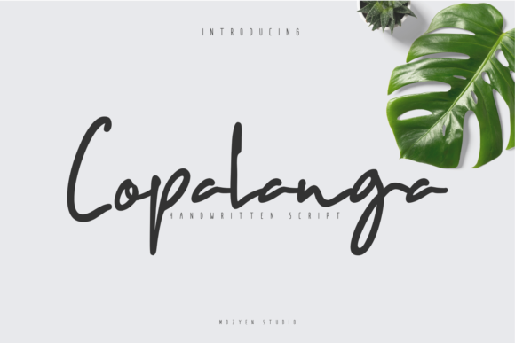 Copalanga: The Charming Script Font for Authentic Campaigns