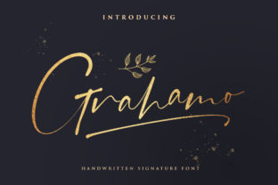 Grahamo: The Bold Script Handwritten Font for Creative Branding