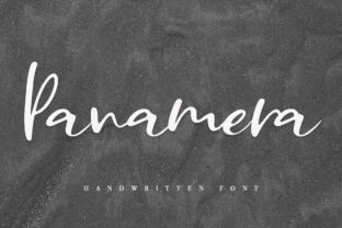 Panamera Font for Authentic Branding Projects