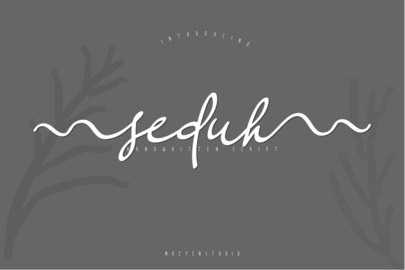 Seduh: A Stunning Script Font for Handmade Branding